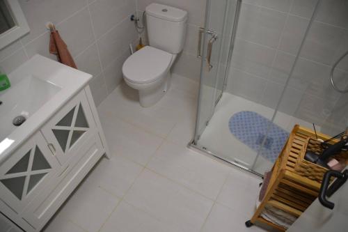 y baño con aseo, lavabo y ducha. en Apartament rural Can Ramon, en Estanyol