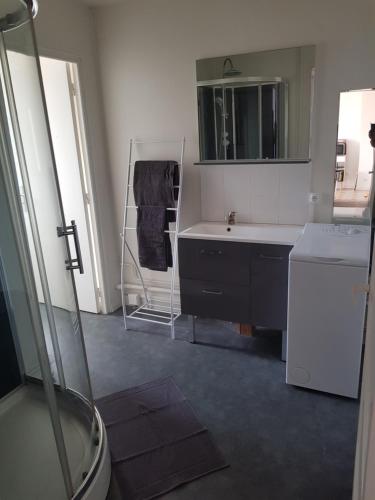 a bathroom with a sink and a tub and a mirror at Appartement centre d Arcis in Arcis-sur-Aube