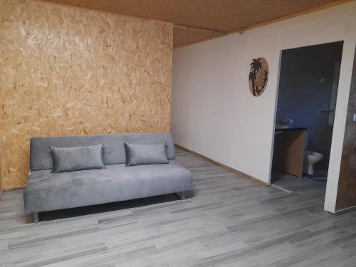 サラジーにあるL'escale du radierのソファ付きのリビングルーム、壁