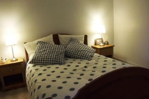 1 dormitorio con 1 cama con almohadas y 2 lámparas en Grande maison avec parc de 6000m2, en Pompiey
