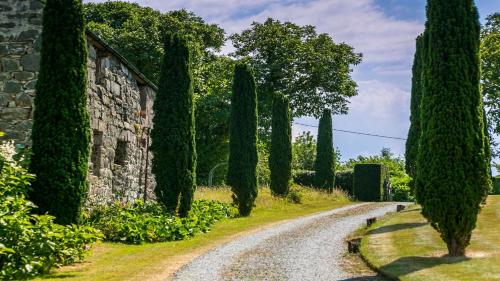 Ty Fry Manor – Photos 3