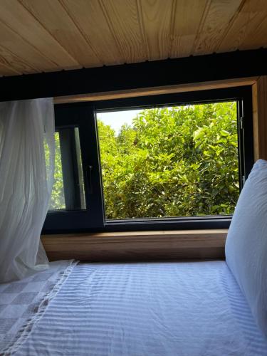 a bedroom with a window and a bed with a view at JULYA TİNY HOUSE in Cıralı