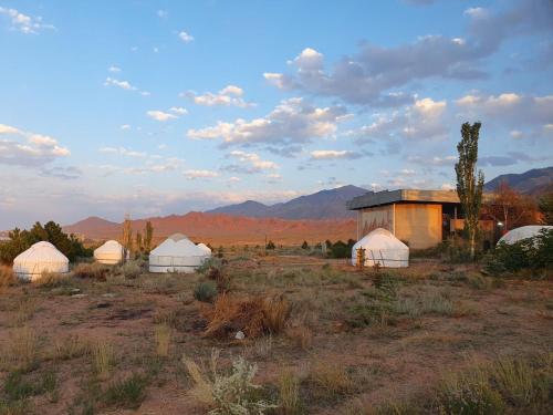 Agat Yurt Camp في Kaji-Say: مجموعة من القباب في حقل مع جبال في الخلفية