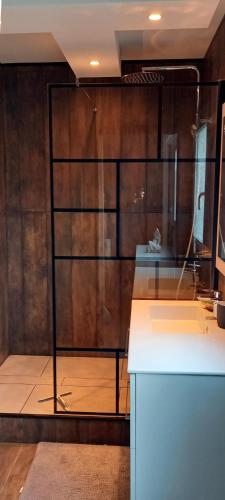 una doccia con porta in vetro accanto a un lavandino di Appartement Rouen Ile Lacroix a Rouen