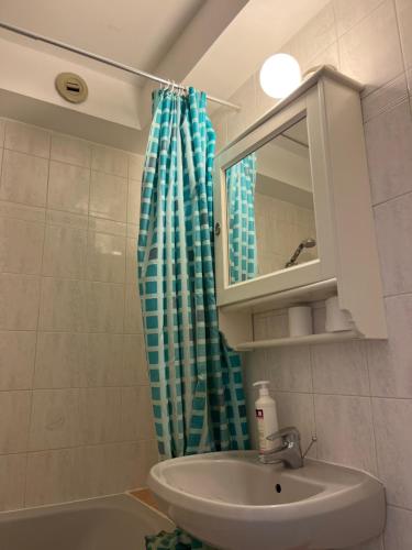 La salle de bains est pourvue d'un lavabo et d'un rideau de douche. dans l'établissement Park Line garden, à Strasbourg
