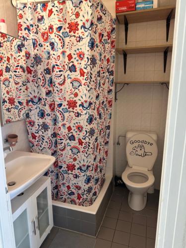 日內瓦的住宿－Charmant studio très accueillant，相簿中的一張相片