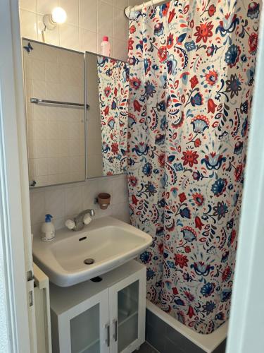 baño con lavabo y cortina de ducha en Charmant studio très accueillant, en Ginebra