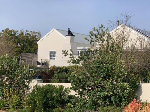 Ein Garten an der Unterkunft Lemon-Lime Cottage Darling
