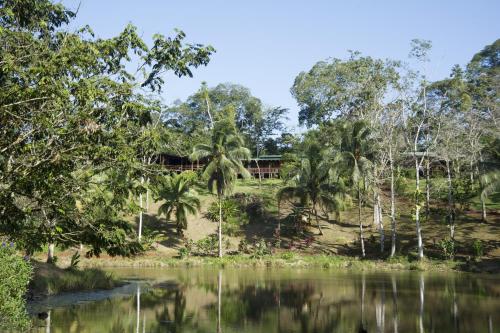 a house in the jungle next to a body of water at La Laguna del Lagarto Eco-Lodge in Pital