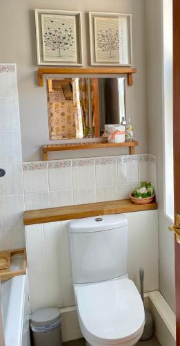 a bathroom with a white toilet and a mirror at Ellen House Bed and Breakfast in Matlock