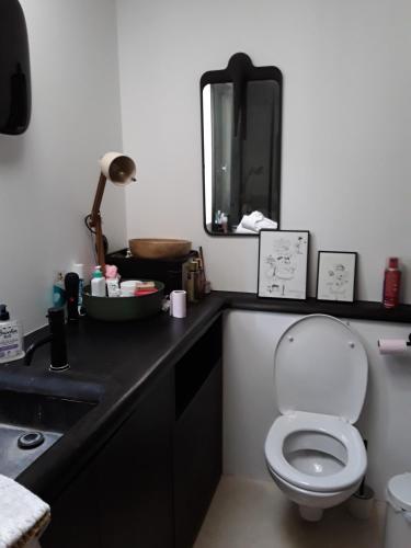 een badkamer met een toilet, een wastafel en een spiegel bij Chambre privée centre de Paris proche Marais in Parijs