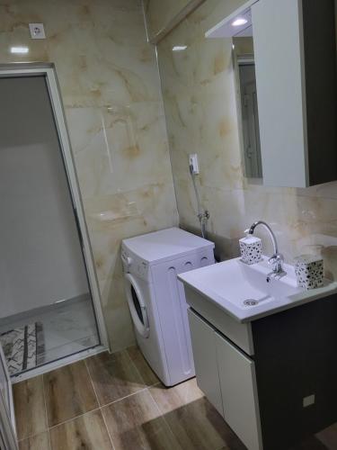 y baño con lavadora y lavamanos. en Jordanovi Premium Apartment, en Kavadarci