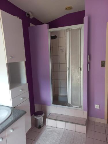 baño con paredes de color púrpura y ducha con espejo. en Le moulin neuf, en Saint-Nicolas-de-Bourgueil