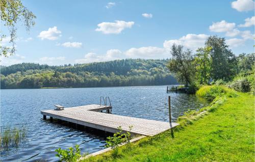a dock in the middle of a lake at 3 Bedroom Amazing Home In Silkeborg in Silkeborg