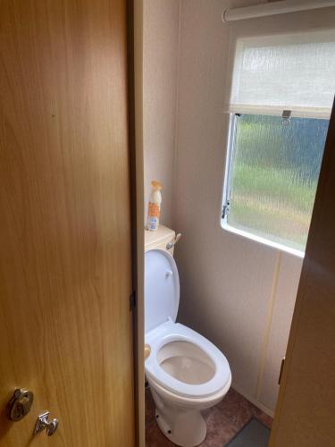 een badkamer met een toilet en een raam bij Chalet Lisett in Mariënberg