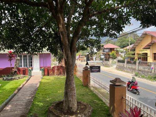 a motorcycle parked next to a tree next to a street at Tresno Sembalun Rinjani in Sembalun Lawang