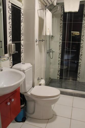 uma casa de banho com um WC, um lavatório e um chuveiro em Hotel Falcon em Istambul