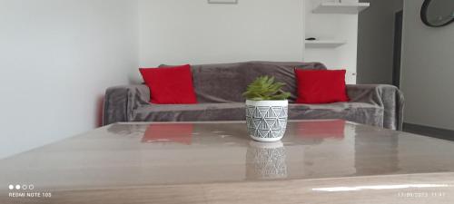 a potted plant sitting on a table in a living room at studio sympa au rez de chaussée in Denain