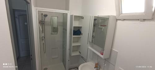 La salle de bains est pourvue d'une douche, d'un lavabo et de toilettes. dans l'établissement Charmant studio au rez de chaussée., à Denain