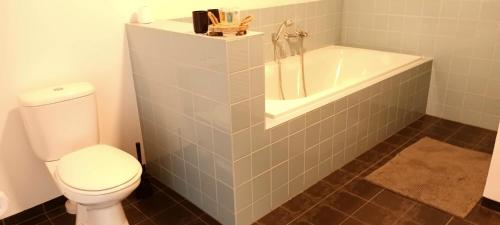 a bathroom with a white toilet and a bath tub at B&B Oldenbosch in Holwierde
