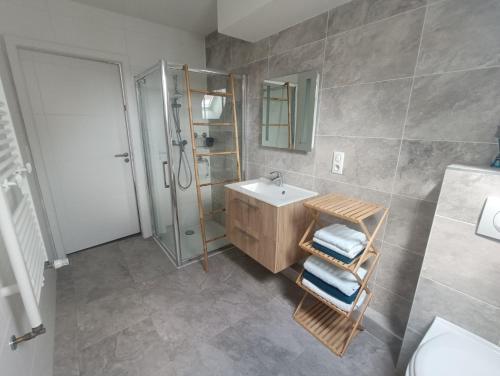 y baño con lavabo y ducha. en Au pied des champs - T2 50m2 au calme, en Blaesheim