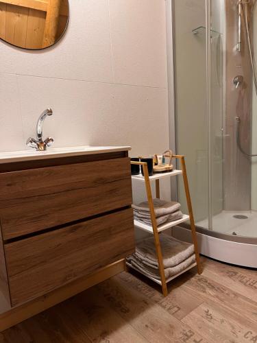 een badkamer met een wastafel en een douche bij B&B Oldenbosch in Holwierde