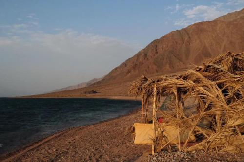 Cabaña con techo de paja en una playa junto al agua en Fully equipped Remote off-grid Solar Wooden Home, en Dahab