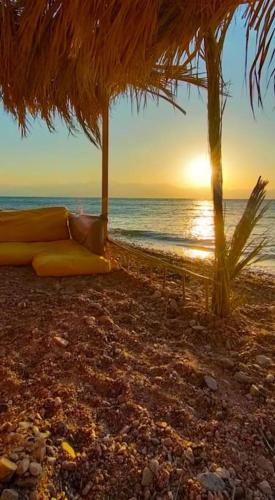 a couch sitting on a beach with the ocean at Fully equipped Remote off-grid Solar Wooden Home in Dahab