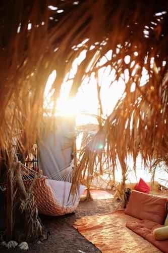 a hammock on the beach under a palm tree at Fully equipped Remote off-grid Solar Wooden Home in Dahab