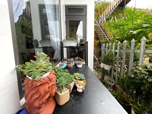 Κήπος έξω από το Mini Home