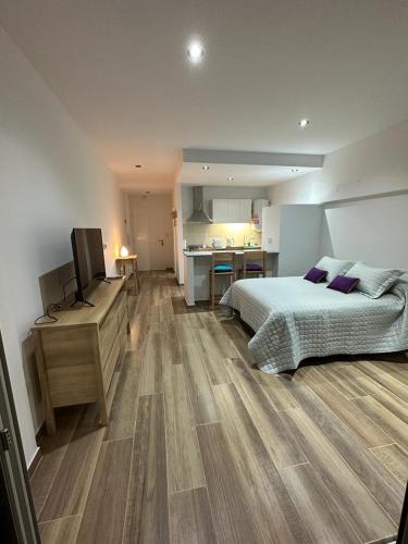 a large bedroom with a bed and a kitchen at Monoambiente 50 y 28 in La Plata