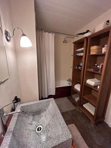 La salle de bains est pourvue d'un lavabo et d'une étagère. dans l'établissement le panoramic, à L'Alpe-d'Huez