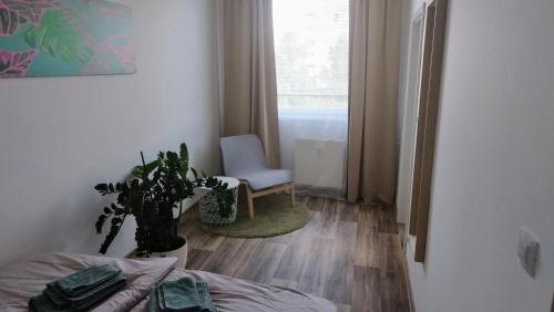 una camera con un letto e una sedia e una finestra di Byteček na Polní a Hodonín