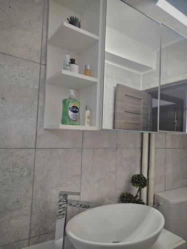 a bathroom with a sink and a toilet and a mirror at Cazare Ploiesti in Ploieşti
