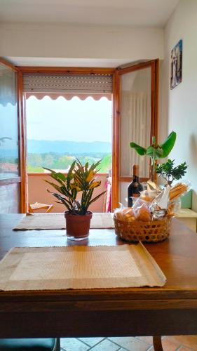 a table with a potted plant on it with a window at Athena soggiorno in San Piero a Sieve