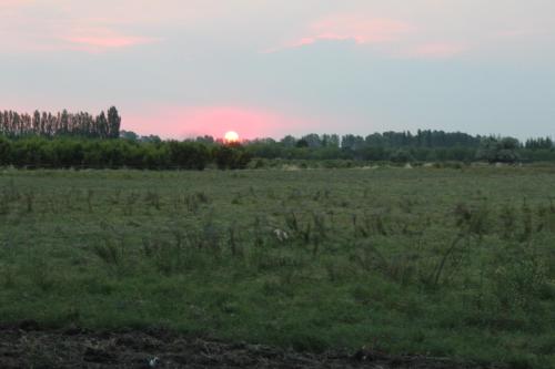 a field with the sun setting in the distance at Finca La Celestita in Colonia Alvear