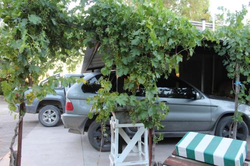 a car parked in a parking lot with green trees at Finca La Celestita in Colonia Alvear