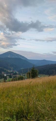 a field of grass with a mountain in the background at Villa Filiak in Yablunytsya