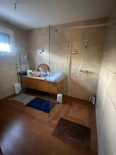une salle de bain avec une douche avec un lavabo et un miroir dans l'établissement Belle villa avec grande piscine 12 couchages 100m du tram, à Le Bouscat