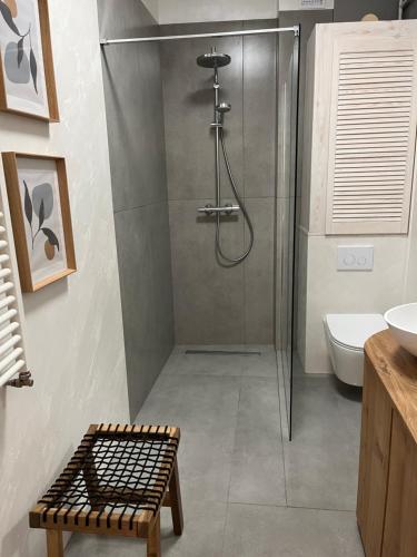 uma casa de banho com um chuveiro, um WC e um lavatório. em Apartamenty Aleja Jana Pawła II em Wągrowiec