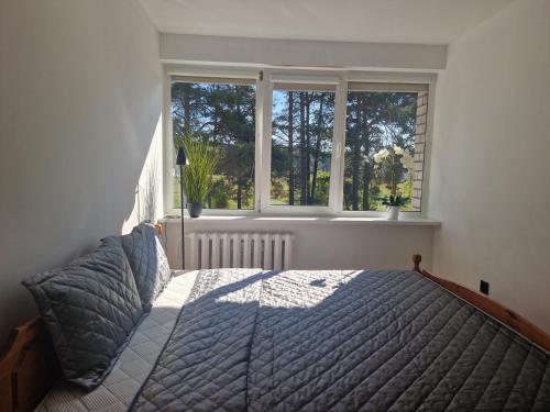 1 dormitorio con cama y ventana en Duplex Apartment Vilte, en Druskininkai