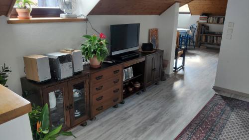 a living room with a television on a wooden cabinet at Úlehla House in Zlín