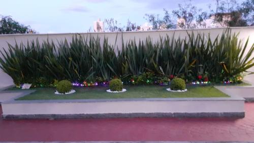 a garden with grass and plants in front of a wall at Ap ótima localização in São José dos Campos