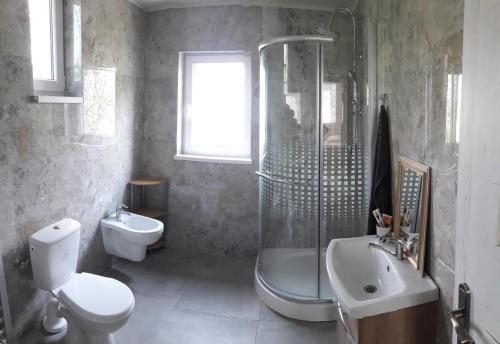 uma casa de banho com um chuveiro, um WC e um lavatório. em Dovolenkový dom Nika em Vinné