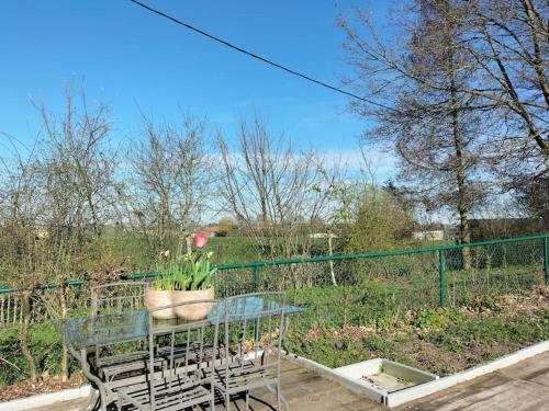 a table and chairs with a potted plant on it at Gite rural La Ferme du Semeur-Zaaiershof in Lessines