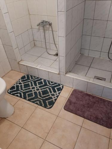 a bathroom with a shower and a rug on the floor at Badacsonyi Panorámás magánszállás in Badacsonytomaj