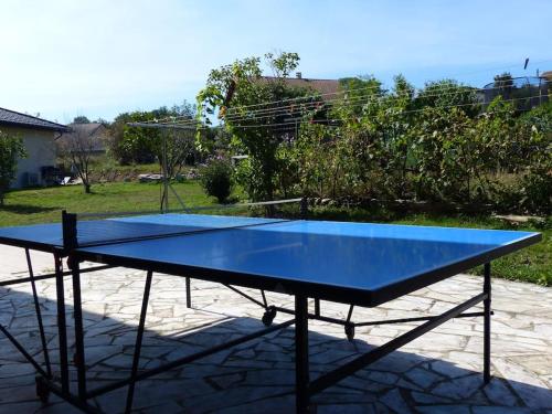 - une table de ping-pong bleue assise sur une terrasse dans l'établissement Appartement dans maison, à Brié-et-Angonnes
