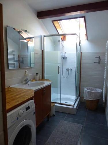 une salle de bain avec douche et lavabo et une machine à laver dans l'établissement Appartement dans maison, à Brié-et-Angonnes