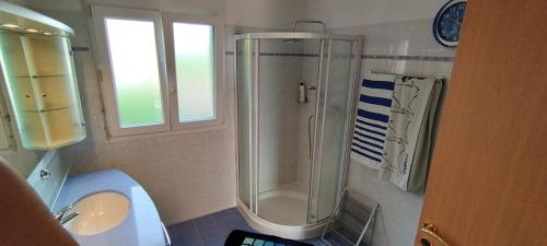 ein Bad mit einer Dusche, einem WC und einem Waschbecken in der Unterkunft Casa Diana Locarno-Cugnasco in Locarno