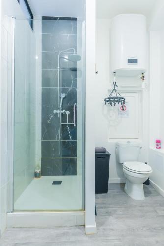 une salle de bain avec douche et toilettes dans l'établissement L'ELEDAURAT - Centre ville Riom - Idéal professionnel - Proche Clermont Ferrand, à Riom